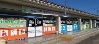 자연산 겨우살이300g : 산청한방약초