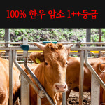 투뿔 한우구이세트한판 특수부위 2kg 14인분 김해주촌축산물도매시장 당일도축 : 오직한우한돈