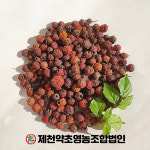 국산 산사 500g 제천약초영농조합법인 제천약초시장 : 제천약초영농조합법인