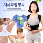 국산 의료기기 허리 보조기 골반 척추 말린 어깨 교정기 203 : 힐링 쇼핑