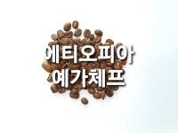 에티오피아 예가체프 원두커피 200g 판매 (당일볶은원두) : 원두로스팅공장 식스필