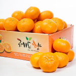 제주명품레드향가정용불로초 못난이꼬마레드향 레드향제철 5키로10kg : 귤이오