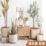 베란다화분선반 연창시멘트 화분 북유럽 모던 심플 특대호 발코니 특가보 : 와이오엔스토어