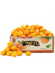 제주 맛좋은 감귤 4.5kg 9kg 무공해 귤 : 나영이네 농장