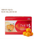 제주 고당도 레드향 5kg 선물포장 : 나영이네 농장