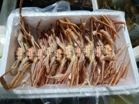 영덕대게 시세 해산물 맛집 파지 택배 주문 국산 : 곤지부부