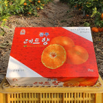 농장직송 고당도 레드향 3kg (6-11과) 특과 / 5k (12-15과) 명절 설선물 가정용 선물용 : 대운농장