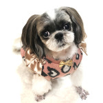 강아지티셔츠  호피엔젤 기모니트티 : 엄지 펫