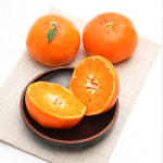 제주 고당도 레드향 5kg : 띵동제주