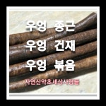 우엉종근5k : 자연산약초세상사람들