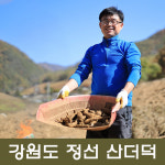 봄더덕 햇더덕 산더덕 정선더덕 상품 1kg : 정선약초백화점