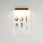 Big Hang lamp 포스터 부착형 오크 우드 원목 조명 자석 : 디라이징