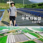 우복자농장 국산 논고동 급속냉동 우렁이살400g(실중량) : 능주맘심 쇼핑