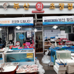 [울산 남구,중구 일부 배달] 가을의 별미 싱싱한 전어회 1kg 내외 (야채 및 양념포함) [수암 부산회초장집] : 동네시장 장보기