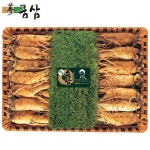 [명가일품][금삼] 국내산 수삼 특중 1kg 15~18편 : SK스토아