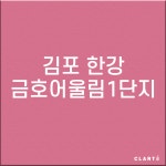 경기 김포 양촌읍 한강금호어울림1단지 H13헤파필터 (프리필터는 추가옵션에서 선택해주세요) : 클라떼
