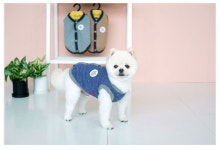 패리스독 에브리데이 플리스 니트 베스트 강아지 말티즈 푸들 포메 비숑 옷 애견용품 조끼 : Legion mall