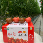 흑토마토 흑완숙토마토 블랙토마토 2kg 전북 완주 : 완숙미인토마토