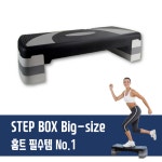 스텝박스 특대형 홈트레이닝 근력운동 스텝퍼 계단오르기 운동 : 단디판다