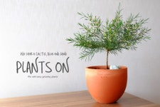 왁스플라워 두갸르송 오리지널 팡팟15 포함 40cm  / 듀가르송 / deuxgarcons Waxflower : 플랜츠온