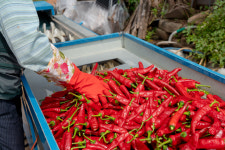 산내음세척청결건고추 600g 2025년산 100% 노지재배 영양고추 고춧가루 산내음농장 : 산내음농장