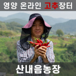 산내음농장 세척영양건고추 1근 영양고추 세척고추 건고추 청양고추 청양초 자닮농법 자닮유황 자닮오일 자닮미생물 초생농법 : 산내음농장