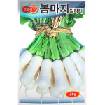 봄마지 알타리 20g : 중앙종묘농약사