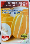 만리장성(500립) / 향,당도,육질은 금싸라기 그대로 과색까지 진한 고품질 참외! : 흥농종묘사