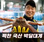 구룡포 국산 제철 박달 대게 홍게 게 다리 수율 90%이상 직송 : 착한대게직판장 대방수산