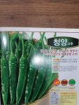 청양고추/청양고추 정품종자/ 1,200립 : 두레농약종묘센터