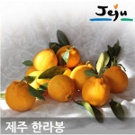 제주 고당도 레드향 한라봉 2.5kg 4.5kg 9kg : 나영이네 농장