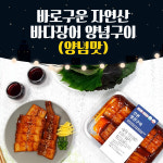장어구이 200g 바다장어 양념 간장 소금구이 흰살생선 집들이 간편조리 밥반찬 : 모어보그