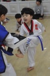 [의정부 호원태권도] 태권도 주 3회 수련 : 호원태권도장