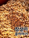 냄새가 적은 국산콩 100% 청국장, 전통방식 청국장, 참살이콩이야기 : 참살이콩이야기