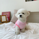 강아지 네온 포켓 후리스 조끼 반려견 애견 겨울 옷 (3colors) (S-2XL) : 멍멍스튜디오