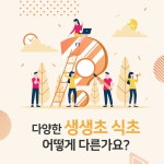 내가 찾는 자연발효식초 : 농업회사법인 생생초