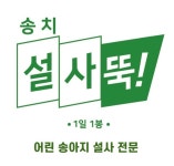 어린 송아지 설사 전문 보조사료 설사뚝! (8g x 10ea) 2 BOX : 송치 바이오