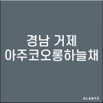 경남 거제아주코오롱하늘채  H13헤파필터 (프리필터는 추가옵션에서 선택해주세요) : 클라떼