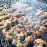 국내산 고창 자포니카 풍천 민물장어 1kg 손질 택배 핑장어 초벌구이 : 농부의 바구니