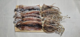 동해안 울진 반건조오징어 (특大) 10미 : 바다 건어물