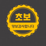 초보운전 데칼 문구 스티커 유리 차체 부착 (양보 감사합니다) 6가지 컬러 : 와나진