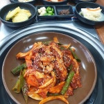 국내산 참맛 오리주물럭 단품요리 가정 간편식 : okey shop