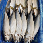 [경산시 배달] 짭짤한 밥반찬 자반고등어 1손 [하양 바다수산] : 동네시장 장보기