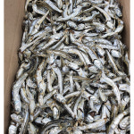 건통령 국내산 남해 상급 잘빠진 다시멸치 1.5kg : 건통령