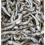 건통령 국내산 남해 상급 잘빠진 다시멸치 1.5kg : 건통령