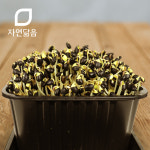 국산 쥐눈이콩 콩나물콩 1kg 약콩 서목태 검은콩 : 자연닮음