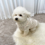 강아지 플라워 양털 누빔 조끼 애견 겨울옷 실내복 의류 (S-XL) : 멍멍스튜디오