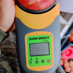 청송 껍질채먹는 꿀 사과 햇부사 5kg : 송학농원