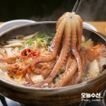 최상품 자연산 국산 산낙지(목포, 여수, 녹동) : 오늘수산몰