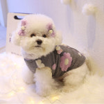 강아지털조끼 패딩 겨울옷 양면 양털 플라워폼폼 펫츠앤미 XS : 꼴레트멍멍 스토어